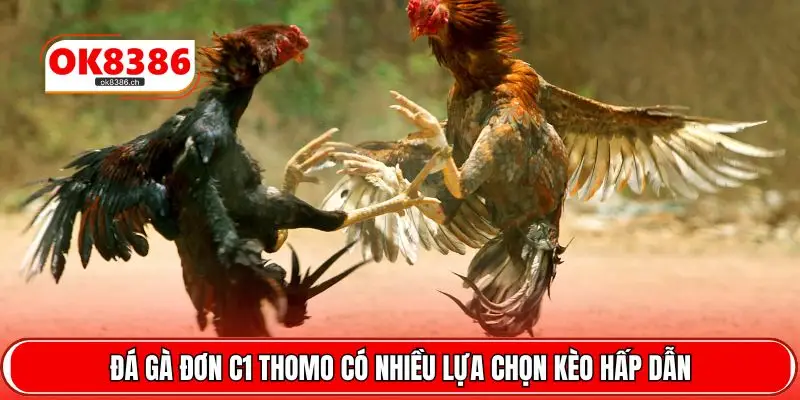 Đá gà đơn C1 Thomo có nhiều lựa chọn kèo hấp dẫn