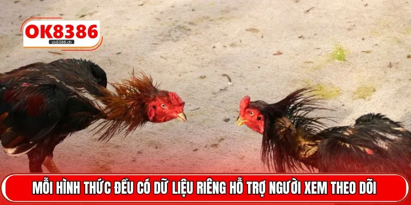 Mỗi hình thức đều có dữ liệu riêng hỗ trợ người xem theo dõi 