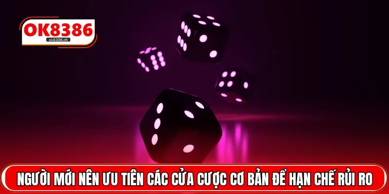 Người mới nên ưu tiên các cửa cược cơ bản để hạn chế rủi ro