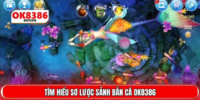Tìm hiểu sơ lược sảnh bắn cá OK8386